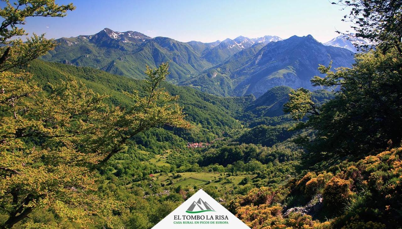 Casa Rural El Tombo La Risa Санта-Мария-де-Вальдеон Экстерьер фото