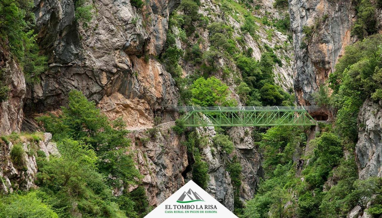 Casa Rural El Tombo La Risa Санта-Мария-де-Вальдеон Экстерьер фото