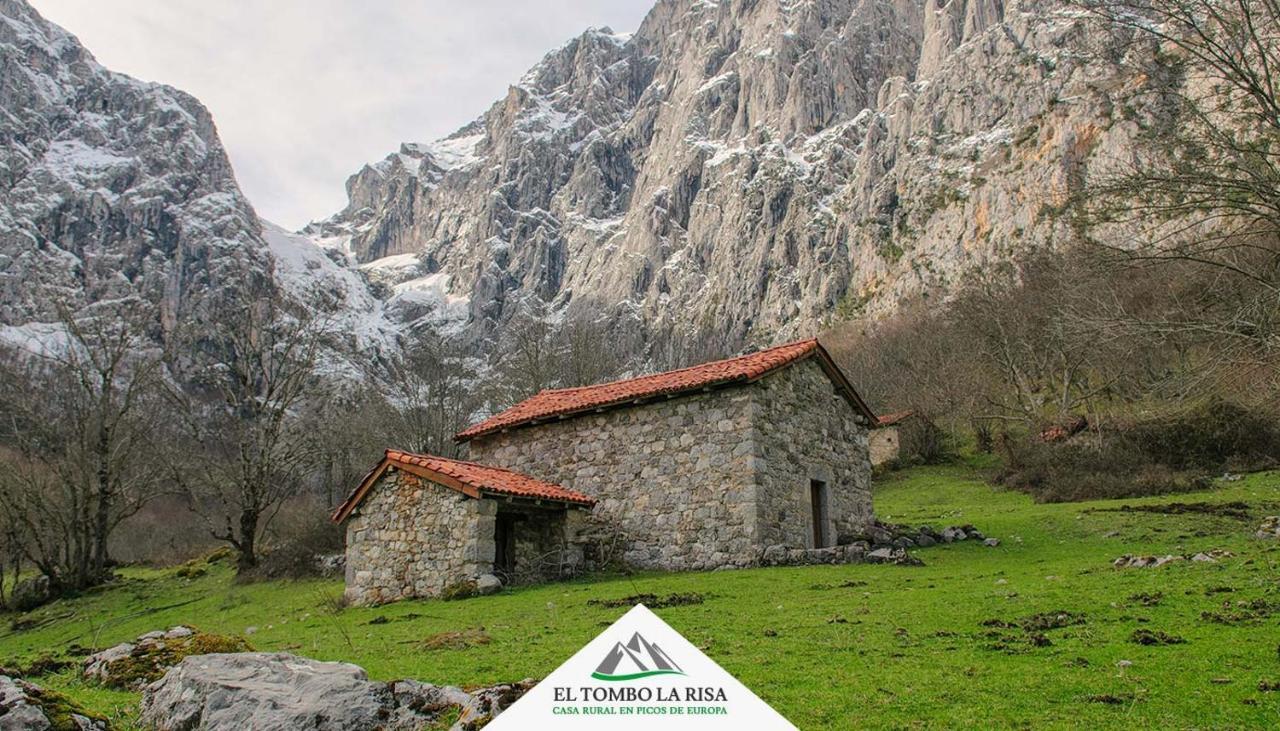 Casa Rural El Tombo La Risa Санта-Мария-де-Вальдеон Экстерьер фото