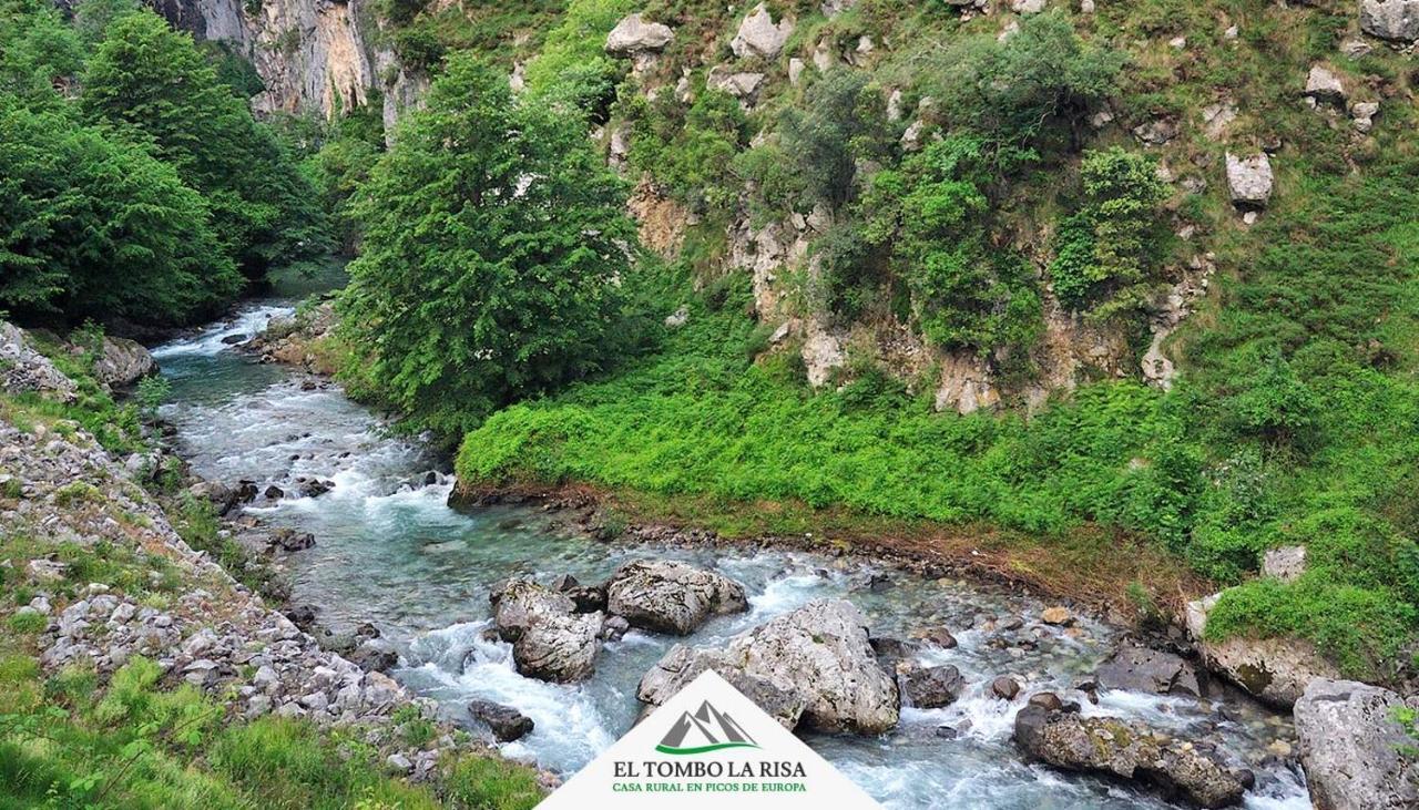 Casa Rural El Tombo La Risa Санта-Мария-де-Вальдеон Экстерьер фото