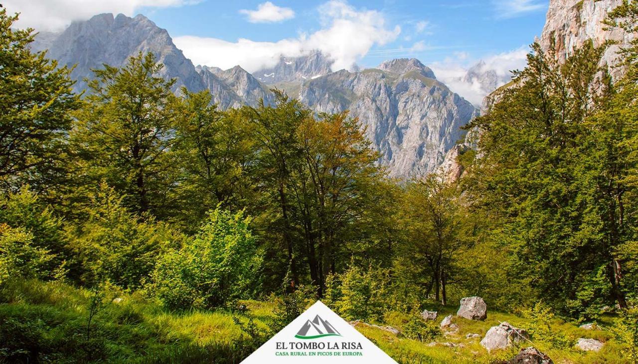 Casa Rural El Tombo La Risa Санта-Мария-де-Вальдеон Экстерьер фото