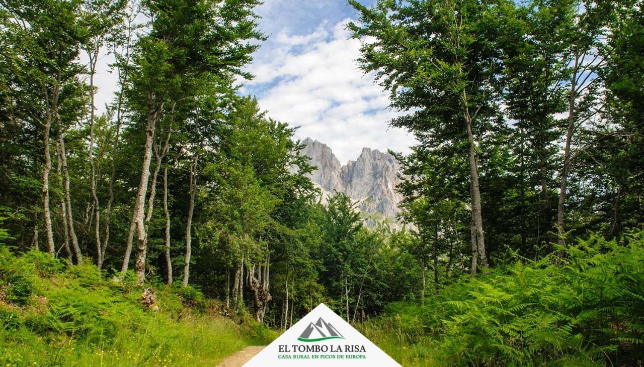 Casa Rural El Tombo La Risa Санта-Мария-де-Вальдеон Экстерьер фото